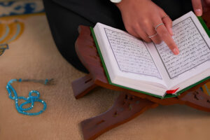 Expert Male and Female Teachers in the USA